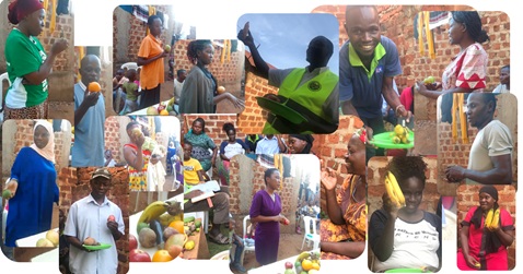 Collective Imagination of a different Kiwaatule